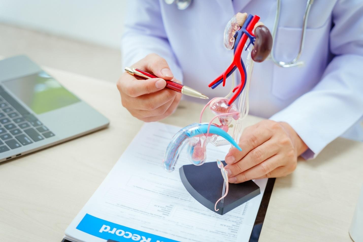 Risk factors for enlarged prostate BPH Singapore